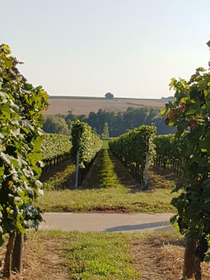 Weingut & Gaestehaus Nagel Kapellen-Drusweiler Exterior photo